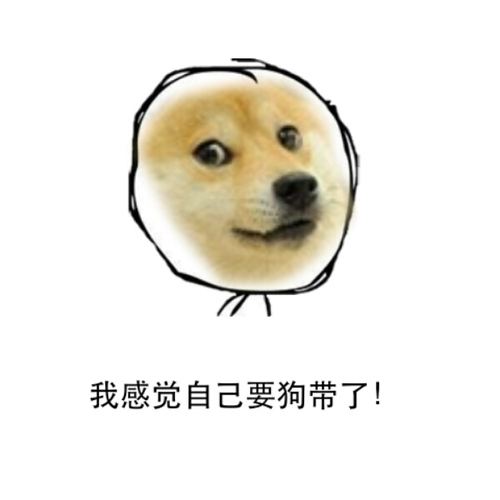 2016網絡流行語第十名：狗帶（火爆指數：★★）