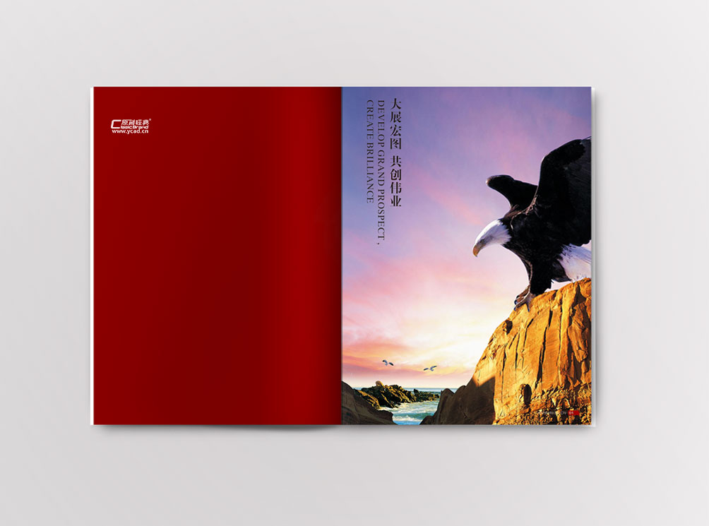 宏偉裝飾畫(huà)冊(cè)設(shè)計(jì)