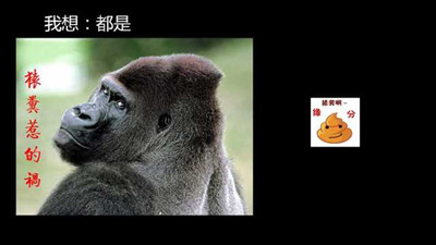 原創(chuàng)活動