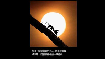原創(chuàng)活動